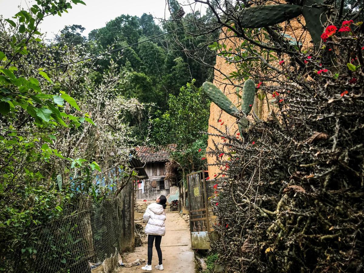 Homie House Thien Huong - Traditional Home ドン・ヴァン エクステリア 写真