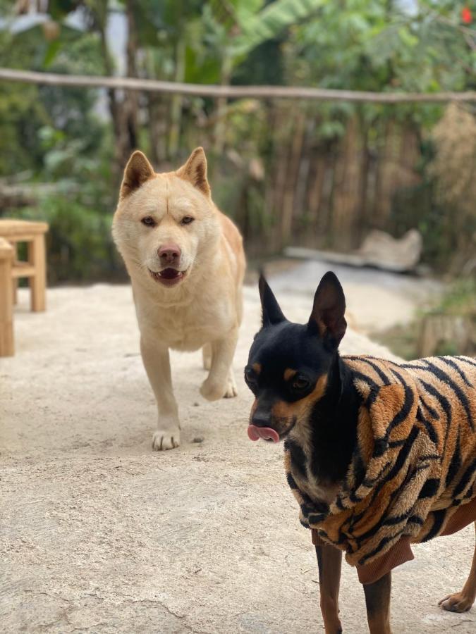 Homie House Thien Huong - Traditional Home ドン・ヴァン エクステリア 写真